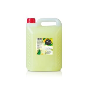 ΛΕΜΟΝΙ DRESSING 4LT